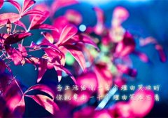 努力改变自己的说说