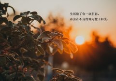 适合半夜发的朋友圈说说