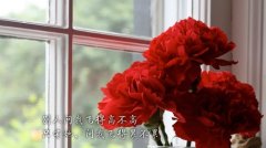 适合男人发朋友圈的说说