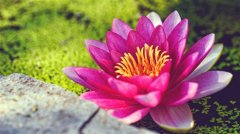 表示自己受伤的说说