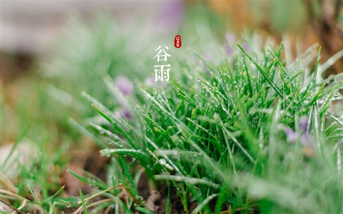 独自伤心流泪到天亮的说说