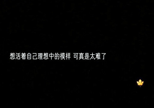 一句话的简单缘分说说