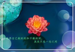 适合早上发圈的励志小清新句子