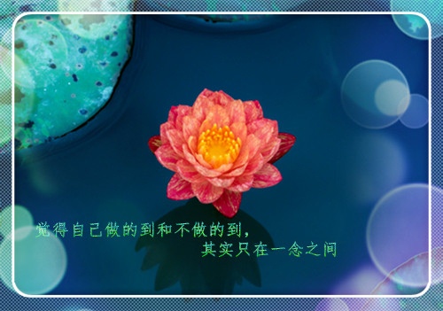 适合早上发圈的励志小清新句子