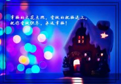 关于别人不理解自己的说说