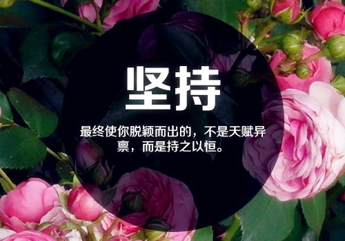 发朋友圈励志正能量语录