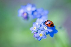 离家的说说心情短语