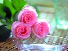 教师节最暖心的祝福语