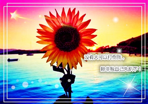 在路上的励志简短句子