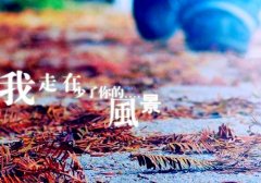 死撑到令人心疼的说说