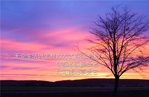 优美哲理的句子摘抄
