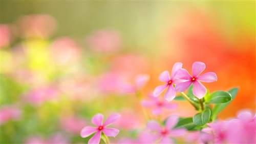 喜迎中秋欢度国庆的说说