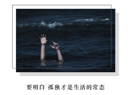 卑微到尘埃里唯美句子