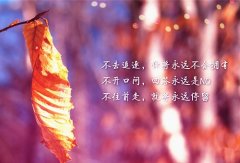 每天都要鼓励自己的说说