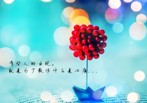 准备放弃一个人的说说