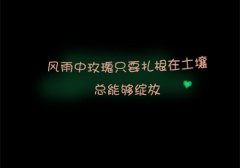 别傻了该清醒了说说
