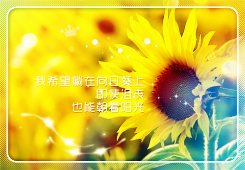 激励你一生的励志说说