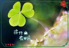 失去了最初的自己的说说