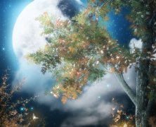 关于意难平的说说