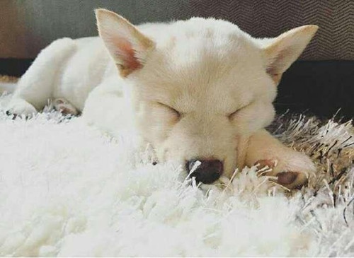 过年搞笑朋友圈说说