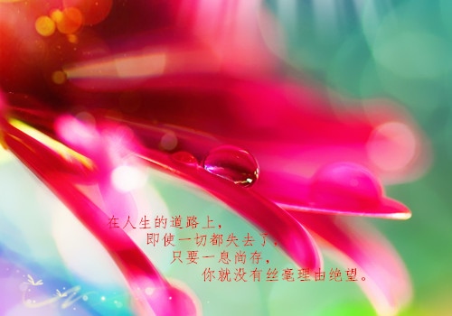 女人要学会坚强的说说