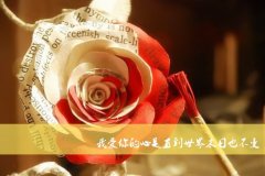 关于母爱的说说句子大全