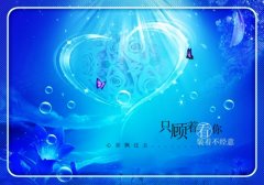 珍惜彼此感情的句子说说