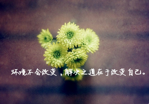 适合女人发早安正能量的朋友圈说说