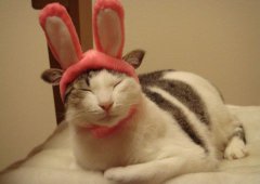 俏皮又可爱的说说