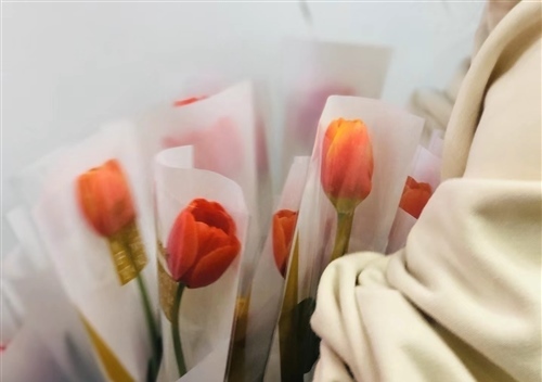 生日和妇女节同一天的说说