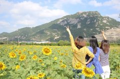 亲姐妹之间的感情说说