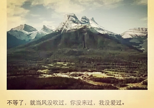 发朋友圈的野性句子