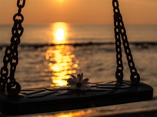 自己好傻在犯贱的说说