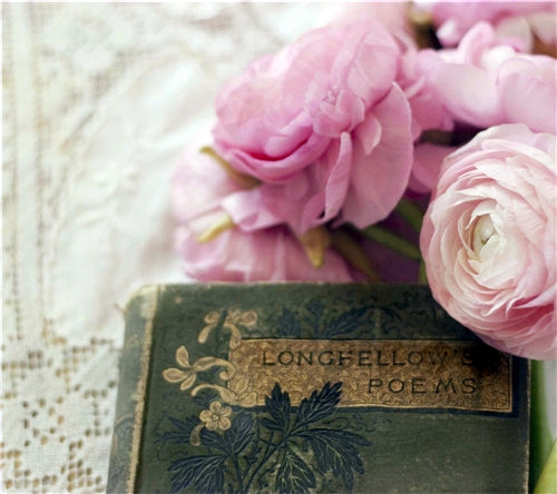 发朋友圈看书的说说