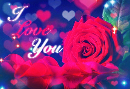 内心深爱一个人的说说