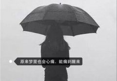 被感情伤得很深的说说