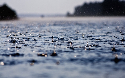 谷雨的句子适合朋友圈