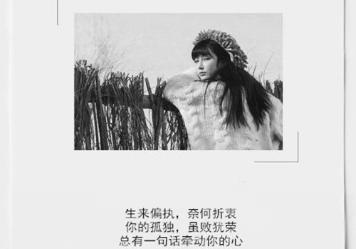 朋友圈伤感扎心语录