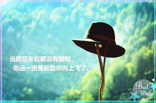 未来可期的正能量句子