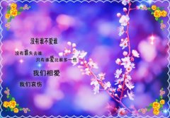 怎样委婉的表白女生句子