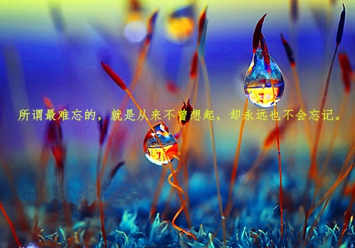 彼此不理解的伤感说说