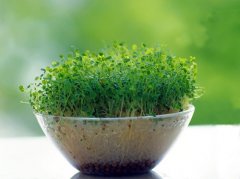 高情商短句个性签名