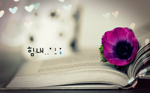 致亲情的唯美句子简短的说说