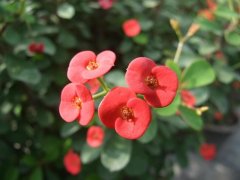 开心小聚发朋友圈的说说