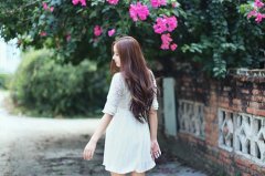 养花的心情说说简短句子