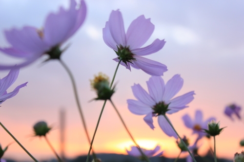 表达感悟人生的心情句子