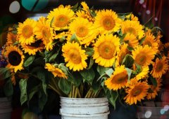 施工现场安全警示标语