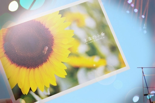 身边有个他真好的心情说说