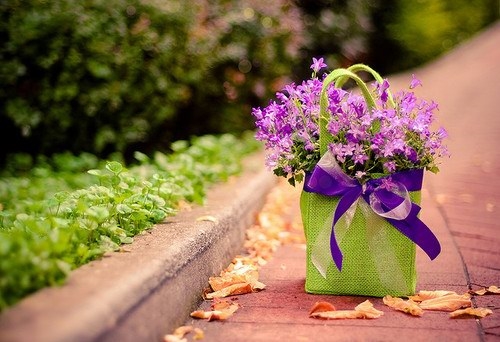 适合周末发的朋友圈说说