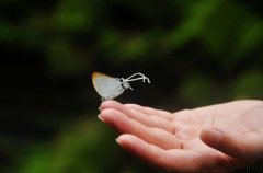 心情不好发朋友圈的伤感说说 